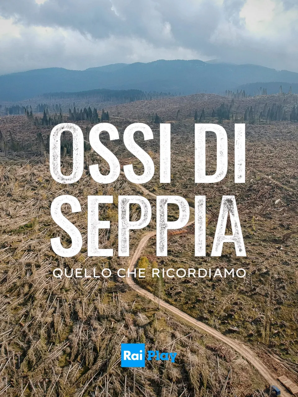 Ossi di seppia 2 - Quello che ricordiamo 